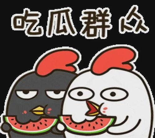 吃瓜娱乐八卦兔